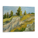 Empaste De La Ladera II - Ethan Harper | Cuadro decorativo de Canvas Lab