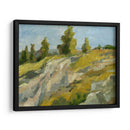 Empaste De La Ladera II - Ethan Harper | Cuadro decorativo de Canvas Lab