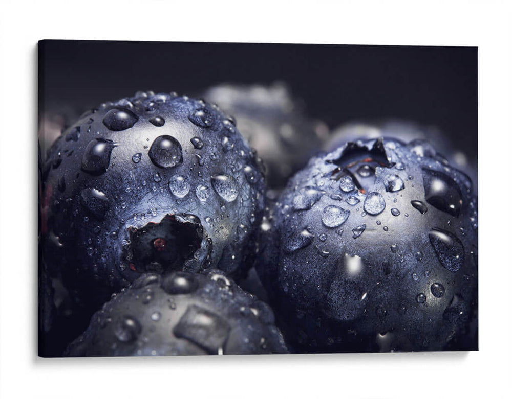 Macro de mora azul | Cuadro decorativo de Canvas Lab