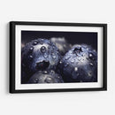 Macro de mora azul | Cuadro decorativo de Canvas Lab