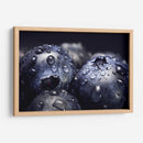 Macro de mora azul | Cuadro decorativo de Canvas Lab