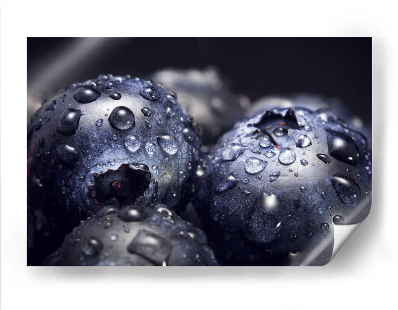 Macro de mora azul | Cuadro decorativo de Canvas Lab