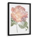 Acuarela Bloom I - Jennifer Goldberger | Cuadro decorativo de Canvas Lab