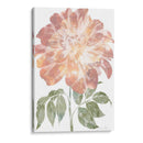 Acuarela Bloom II - Jennifer Goldberger | Cuadro decorativo de Canvas Lab