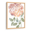 Acuarela Bloom III - Jennifer Goldberger | Cuadro decorativo de Canvas Lab