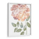 Acuarela Bloom III - Jennifer Goldberger | Cuadro decorativo de Canvas Lab