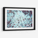 Meditación de magnolias | Cuadro decorativo de Canvas Lab