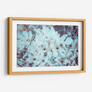 Meditación de magnolias | Cuadro decorativo de Canvas Lab