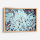 Meditación de magnolias | Cuadro decorativo de Canvas Lab