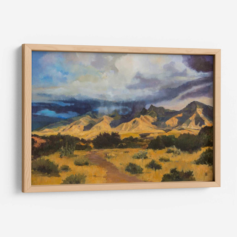 Luz De Montaña Del Desierto - Judith DAgostino | Cuadro decorativo de Canvas Lab