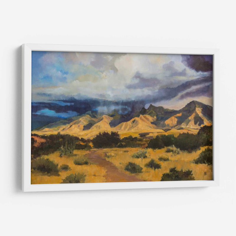 Luz De Montaña Del Desierto - Judith DAgostino | Cuadro decorativo de Canvas Lab