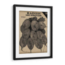 Cosecha De Semillas Paquete I - Vision Studio | Cuadro decorativo de Canvas Lab