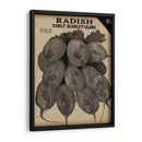 Cosecha De Semillas Paquete I - Vision Studio | Cuadro decorativo de Canvas Lab