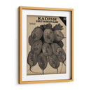 Cosecha De Semillas Paquete I - Vision Studio | Cuadro decorativo de Canvas Lab