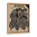 Cosecha De Semillas Paquete I - Vision Studio | Cuadro decorativo de Canvas Lab