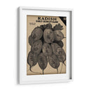 Cosecha De Semillas Paquete I - Vision Studio | Cuadro decorativo de Canvas Lab
