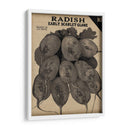 Cosecha De Semillas Paquete I - Vision Studio | Cuadro decorativo de Canvas Lab