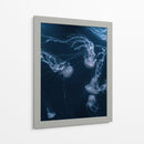 Medusas en lo azul | Cuadro decorativo de Canvas Lab