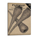 Cosecha De Semillas Paquete IV - Vision Studio | Cuadro decorativo de Canvas Lab