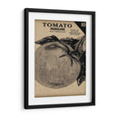 Cosecha De Semillas Paquete V - Vision Studio | Cuadro decorativo de Canvas Lab