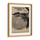 Cosecha De Semillas Paquete V - Vision Studio | Cuadro decorativo de Canvas Lab