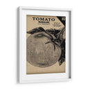 Cosecha De Semillas Paquete V - Vision Studio | Cuadro decorativo de Canvas Lab