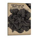 Cosecha De Semillas Paquete VI - Vision Studio | Cuadro decorativo de Canvas Lab