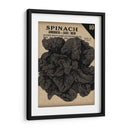 Cosecha De Semillas Paquete VI - Vision Studio | Cuadro decorativo de Canvas Lab