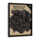 Cosecha De Semillas Paquete VI - Vision Studio | Cuadro decorativo de Canvas Lab