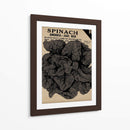 Cosecha De Semillas Paquete VI - Vision Studio | Cuadro decorativo de Canvas Lab