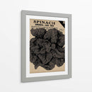 Cosecha De Semillas Paquete VI - Vision Studio | Cuadro decorativo de Canvas Lab