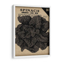 Cosecha De Semillas Paquete VI - Vision Studio | Cuadro decorativo de Canvas Lab