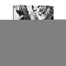 II Esporádica - Ethan Harper | Cuadro decorativo de Canvas Lab