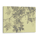 Gris Hojas II - Jennifer Goldberger | Cuadro decorativo de Canvas Lab