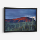 Monte de cactus | Cuadro decorativo de Canvas Lab