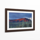 Monte de cactus | Cuadro decorativo de Canvas Lab