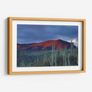 Monte de cactus | Cuadro decorativo de Canvas Lab
