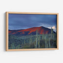 Monte de cactus | Cuadro decorativo de Canvas Lab