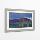 Monte de cactus | Cuadro decorativo de Canvas Lab