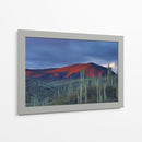 Monte de cactus | Cuadro decorativo de Canvas Lab