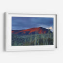 Monte de cactus | Cuadro decorativo de Canvas Lab