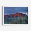 Monte de cactus | Cuadro decorativo de Canvas Lab