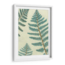 Azul Helecho Trio I - June Erica Vess | Cuadro decorativo de Canvas Lab