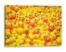 Montón de patitos | Cuadro decorativo de Canvas Lab