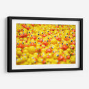 Montón de patitos | Cuadro decorativo de Canvas Lab