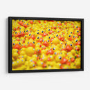 Montón de patitos | Cuadro decorativo de Canvas Lab