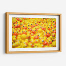 Montón de patitos | Cuadro decorativo de Canvas Lab