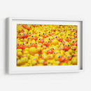 Montón de patitos | Cuadro decorativo de Canvas Lab