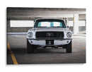 Mustang blanco vintage | Cuadro decorativo de Canvas Lab
