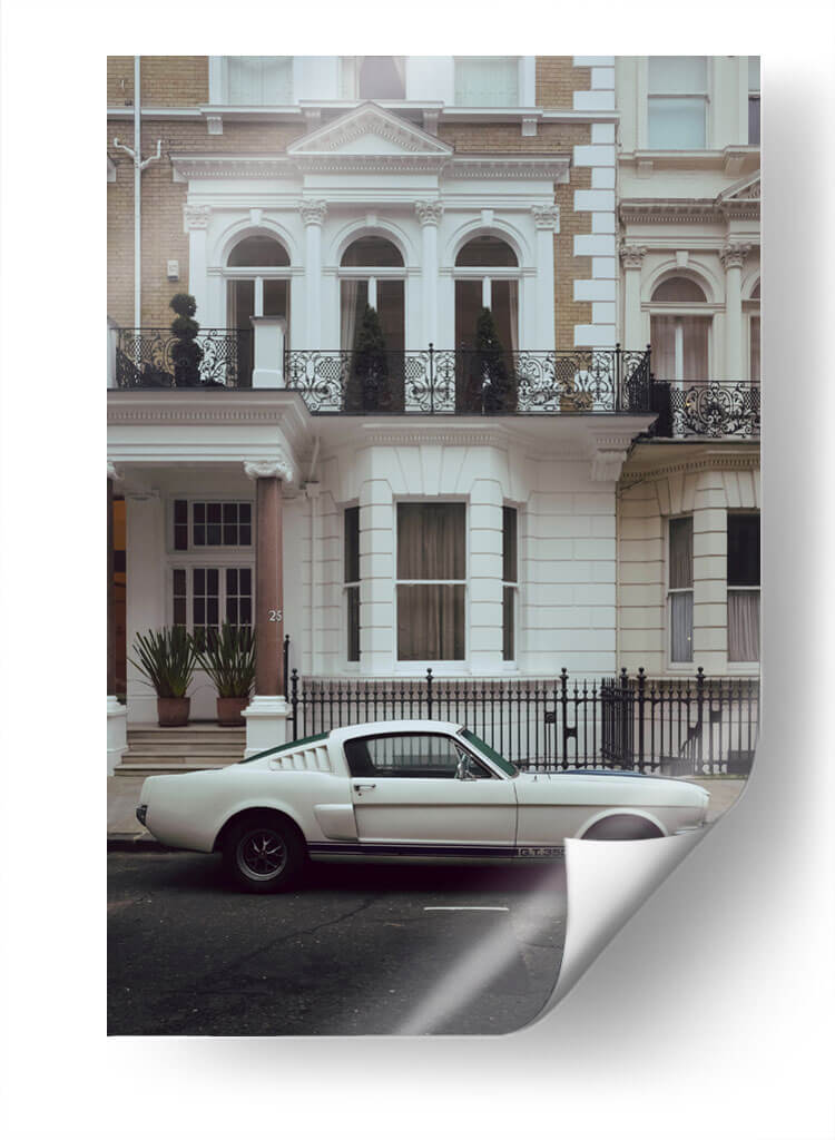 Mustang GT 350 | Cuadro decorativo de Canvas Lab